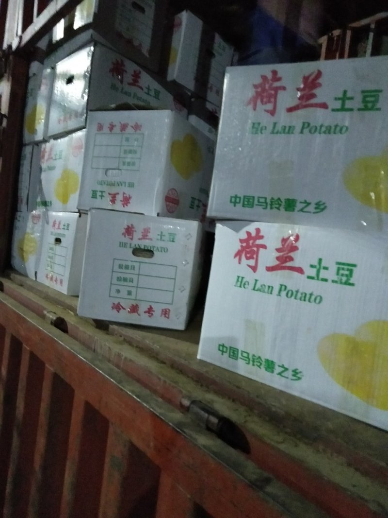 土豆露天的六七大量供应