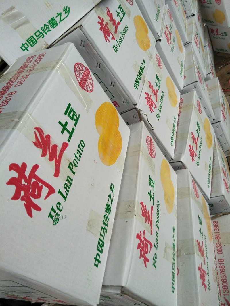 土豆露天的六七大量供应