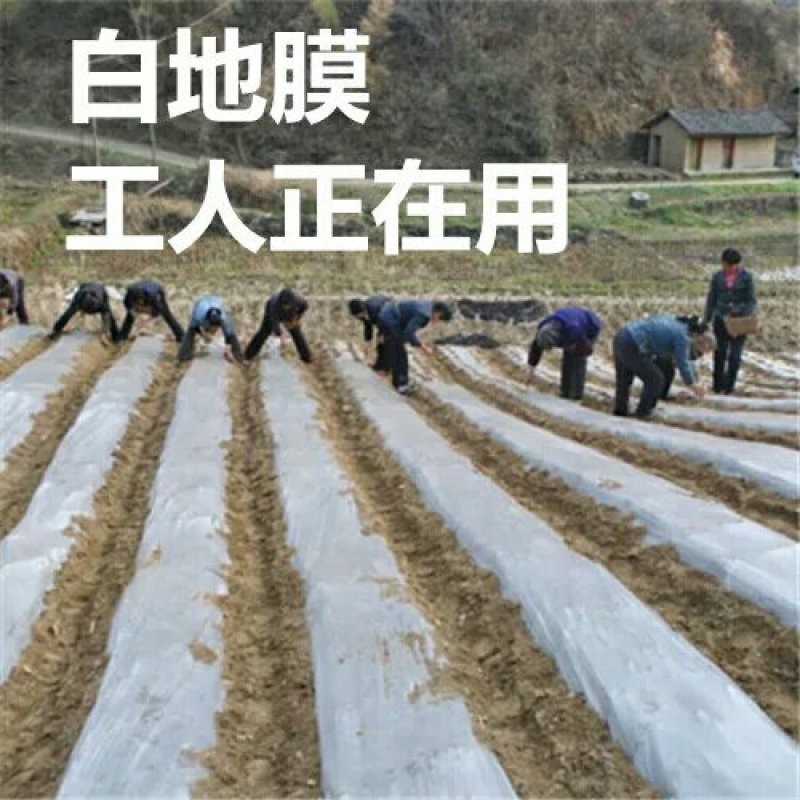 地膜农用银黑色薄膜果树果园保温保湿蔬菜棚工程混凝