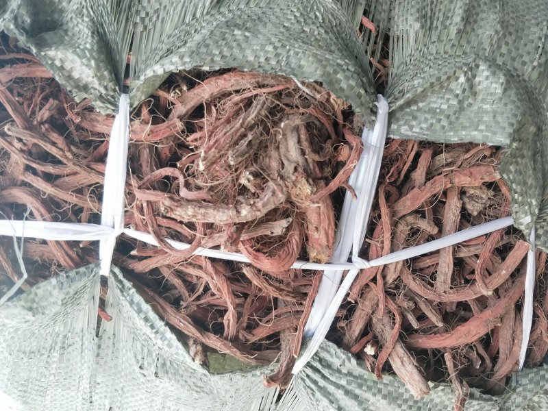 甘肃【精品】丹参大量供应，量大从优，价格美丽甘肃产地直发