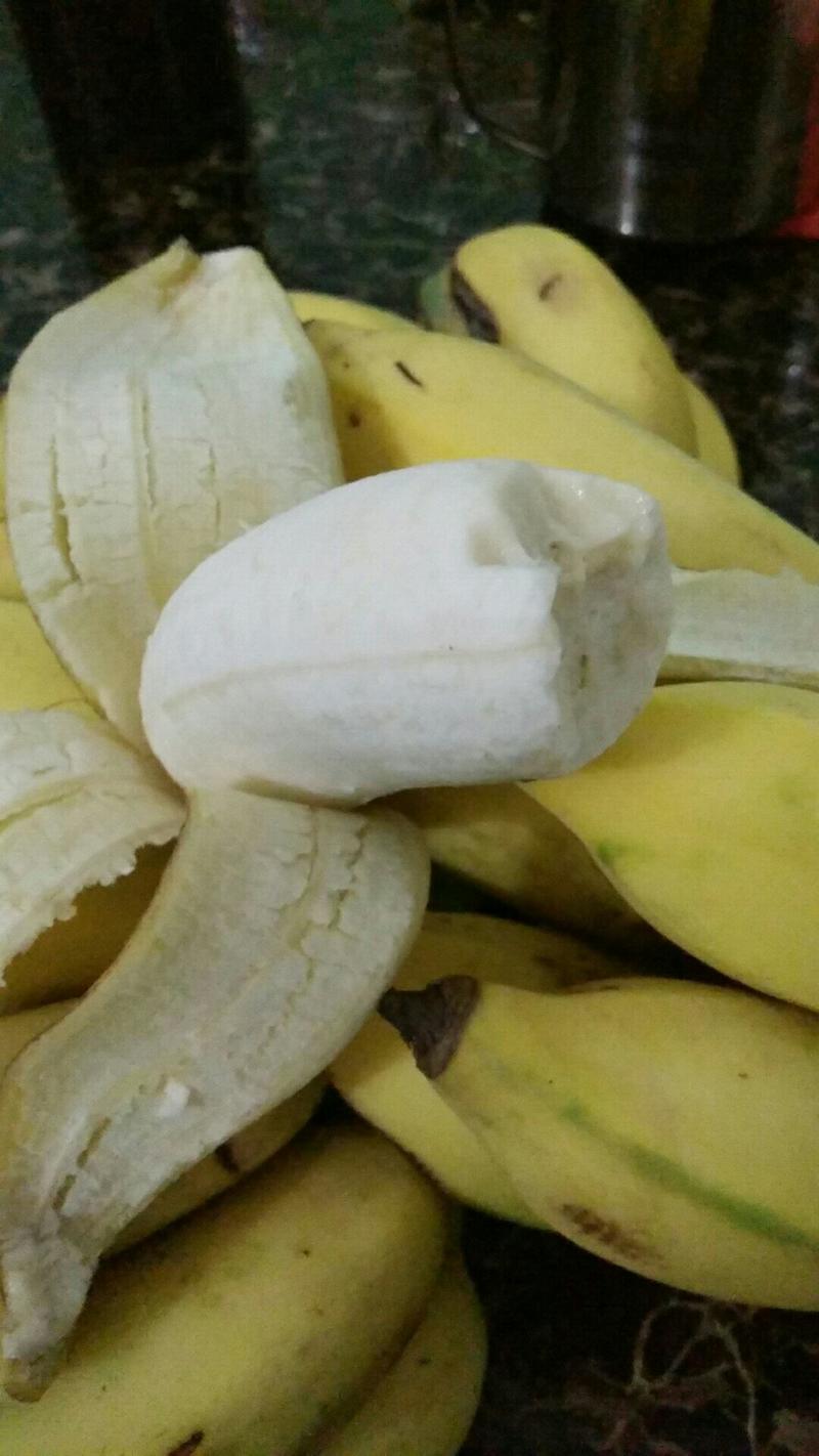 广西贡蕉西贡粉蕉甜香蕉应季水果整箱包邮3斤5斤10斤