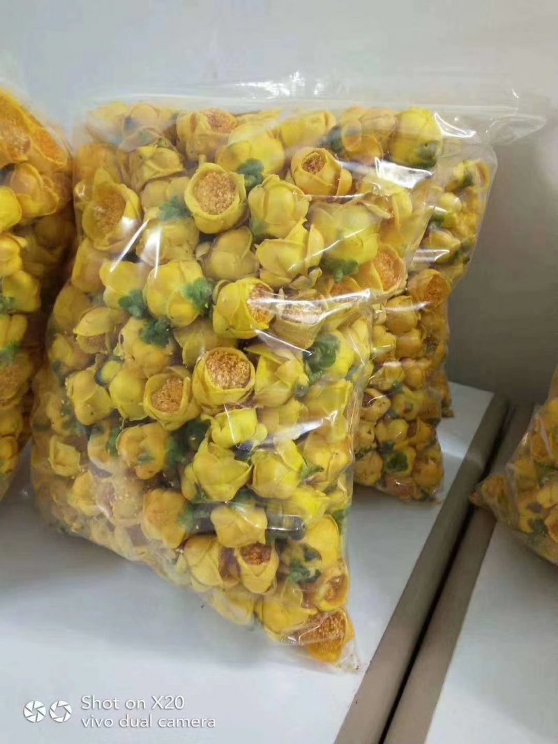 广西一级保护植物金花茶产地