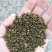 吴茱萸，含量符合2015药典