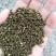吴茱萸，含量符合2015药典