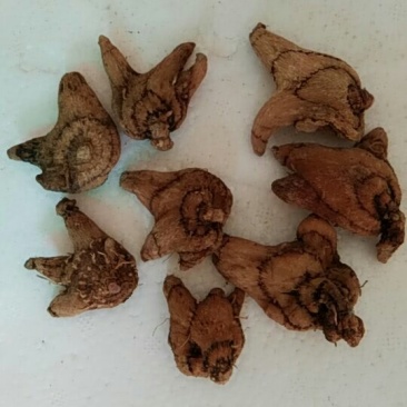 白及，全干货。自产自销。