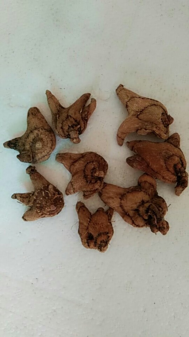 白及，全干货。自产自销。
