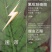 拜耳极显杀虫剂氟吡呋喃酮亩旺特螺虫乙酯烟粉虱蚧壳虫棉蚜