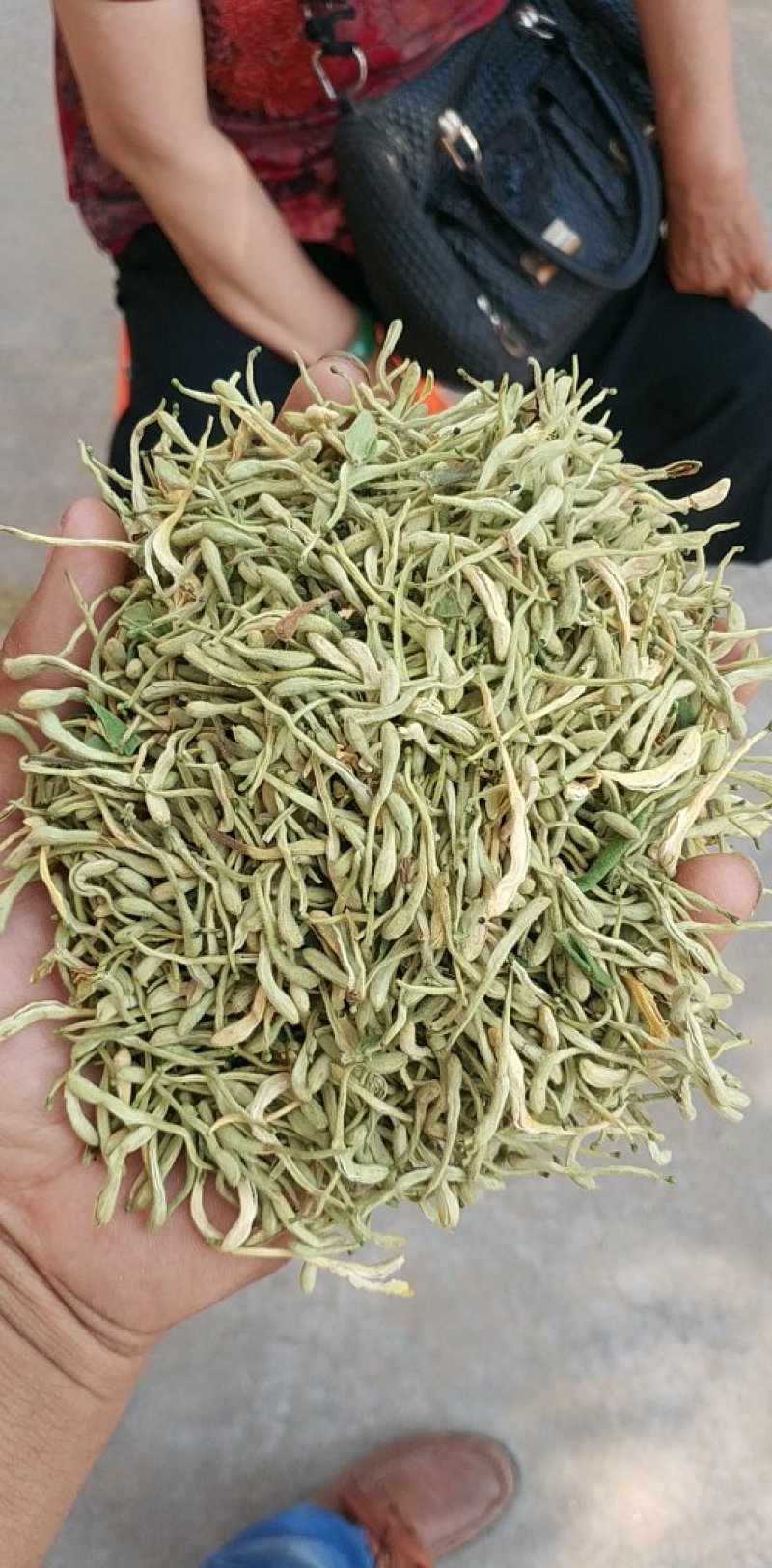 优质河北金银花，常年供应，量大从优，致电有优惠