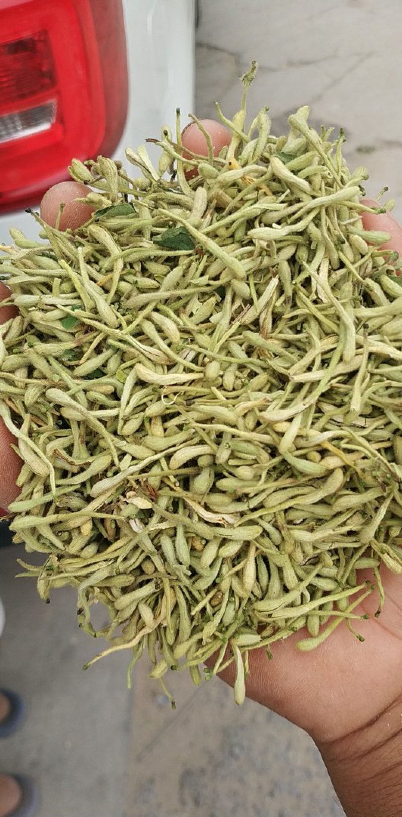优质河北金银花，常年供应，量大从优，致电有优惠