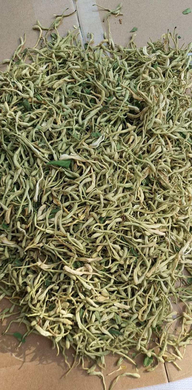 优质河北金银花，常年供应，量大从优，致电有优惠
