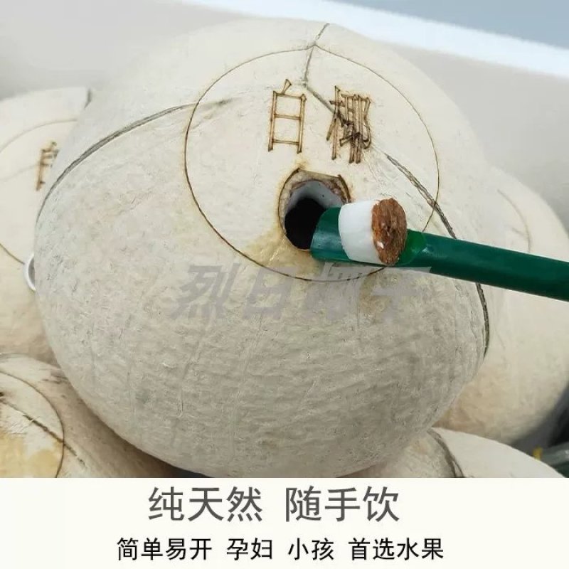 烈日易拉环椰子椰子易拉罐椰子海南椰奶6个装
