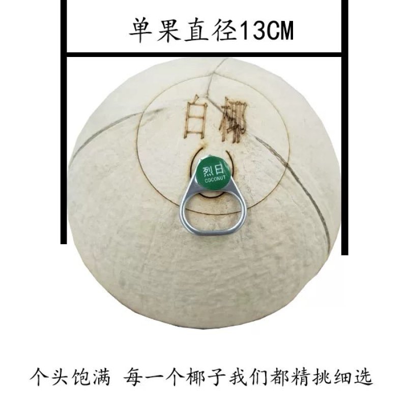 烈日易拉环椰子椰子易拉罐椰子海南椰奶6个装