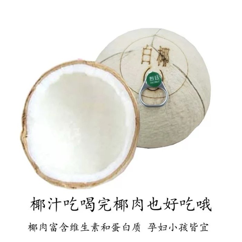 烈日易拉环椰子椰子易拉罐椰子海南椰奶6个装