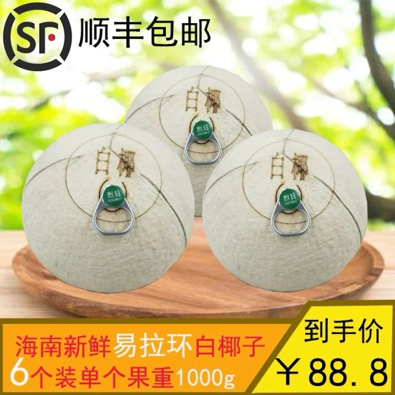 烈日易拉环椰子椰子易拉罐椰子海南椰奶6个装