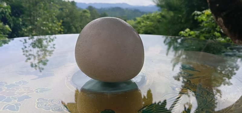 马宝
