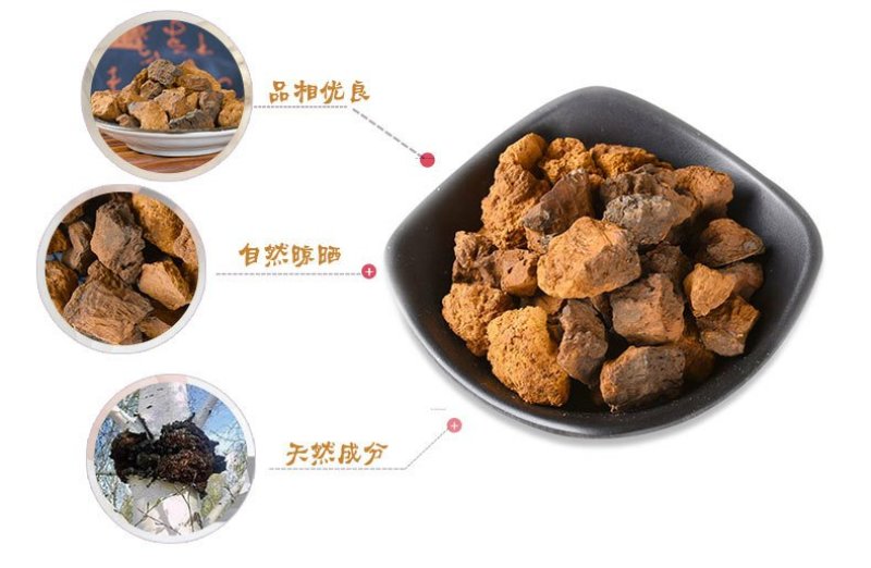 厂家批发大块白桦茸桦树茸食用菌类大量供应
