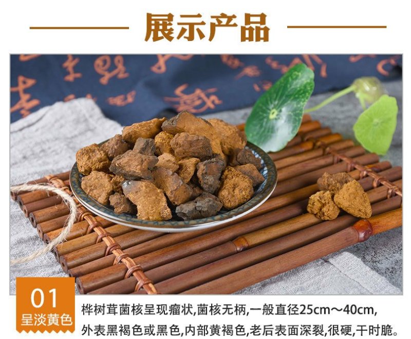 厂家批发大块白桦茸桦树茸食用菌类大量供应
