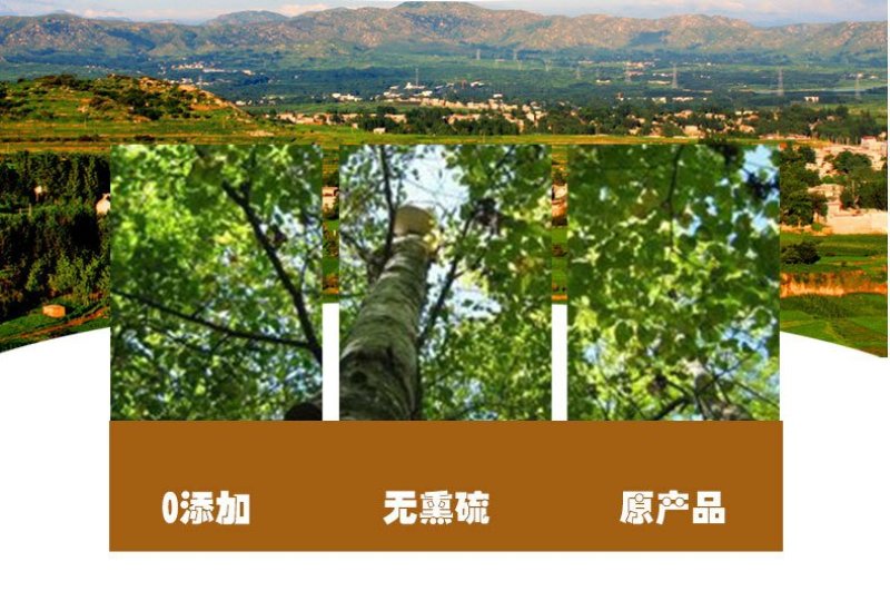 厂家批发大块白桦茸桦树茸食用菌类大量供应