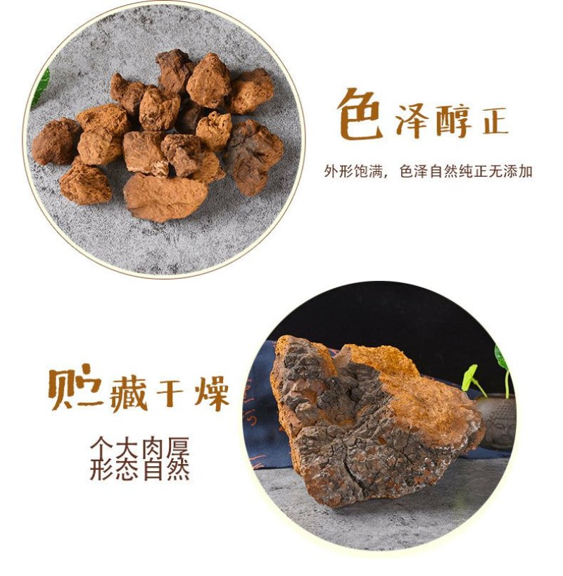 厂家批发大块白桦茸桦树茸食用菌类大量供应
