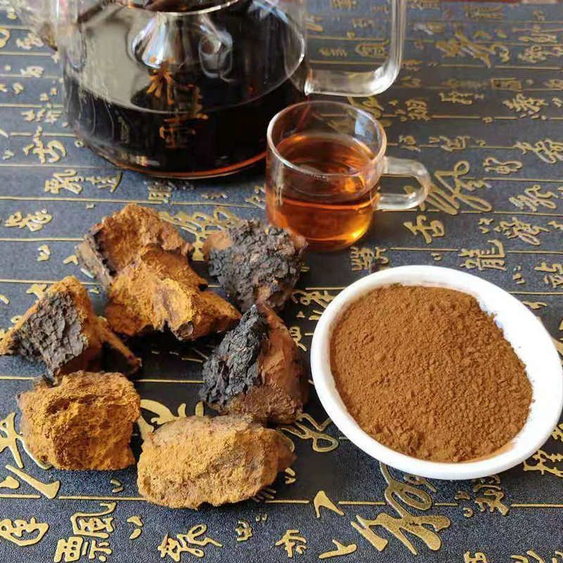 厂家批发大块白桦茸桦树茸食用菌类大量供应