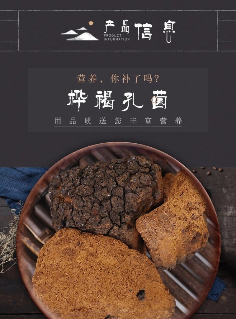 厂家批发大块白桦茸桦树茸食用菌类大量供应
