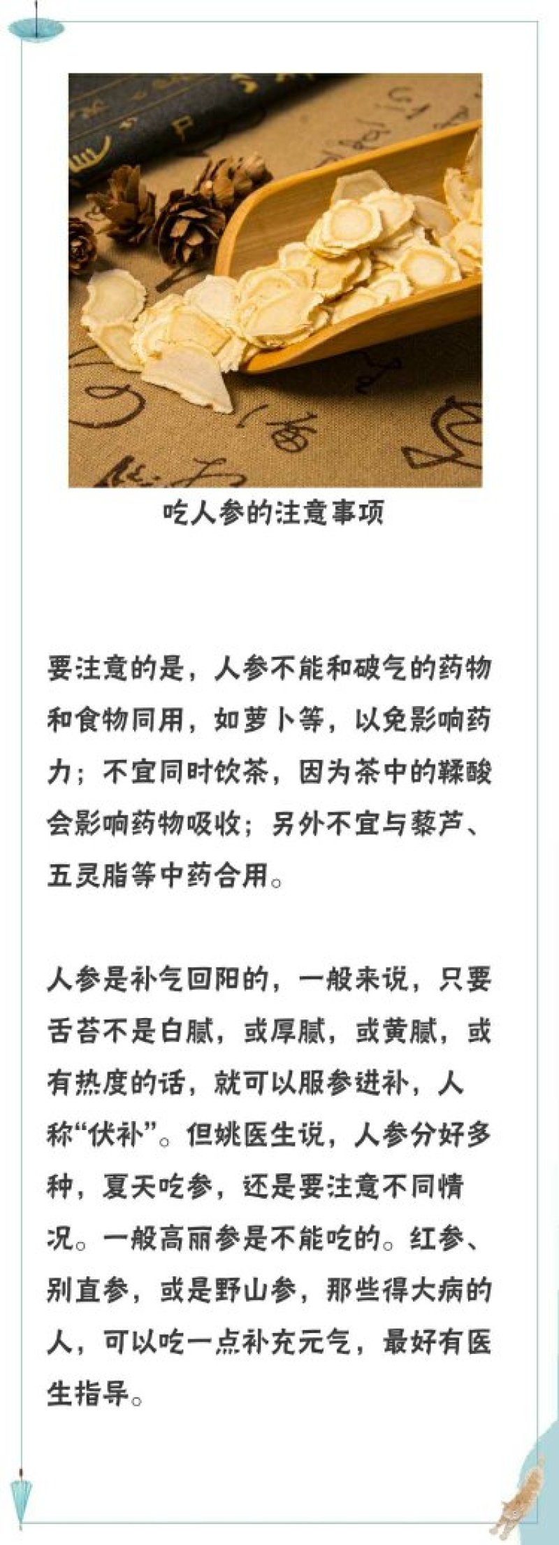 东北土特产长白山人参大量供应批发保鲜参泡酒煲汤包邮
