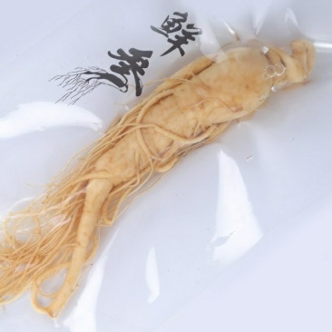 东北土特产长白山人参大量供应批发保鲜参泡酒煲汤包邮