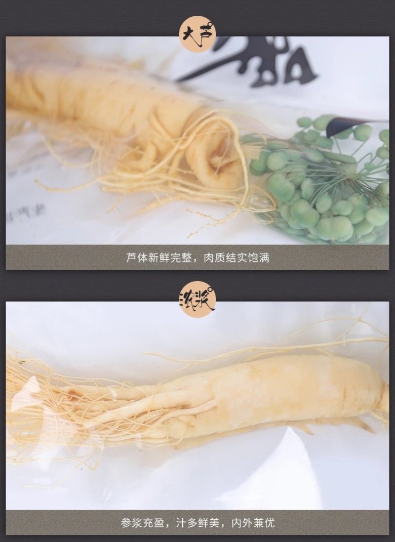 东北土特产长白山人参大量供应批发保鲜参泡酒煲汤包邮