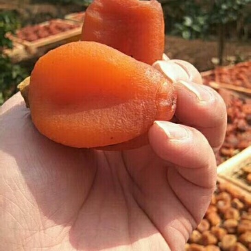 吊饼广西桂林平乐县沙子镇产地直供质量柿饼吊饼