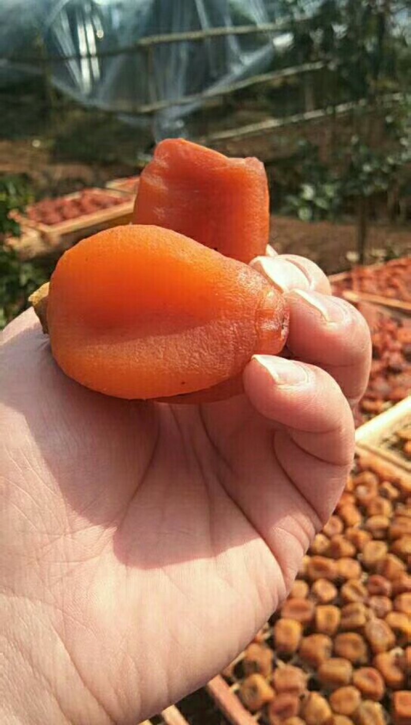 吊饼广西桂林平乐县沙子镇产地直供质量柿饼吊饼