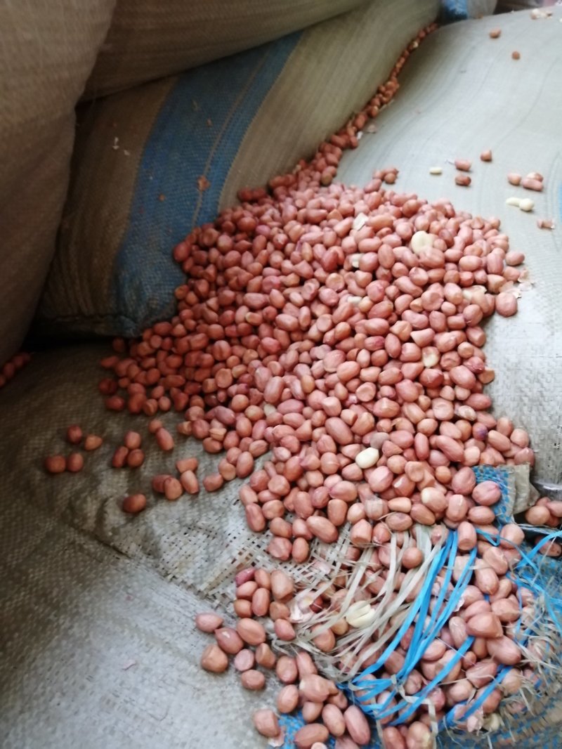 花生油—代加工接订单，2吨以，少了不接，