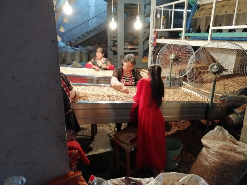 花生油—代加工接订单，2吨以，少了不接，
