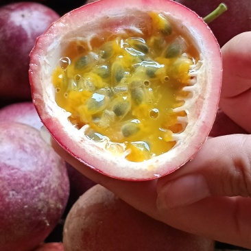 百香果