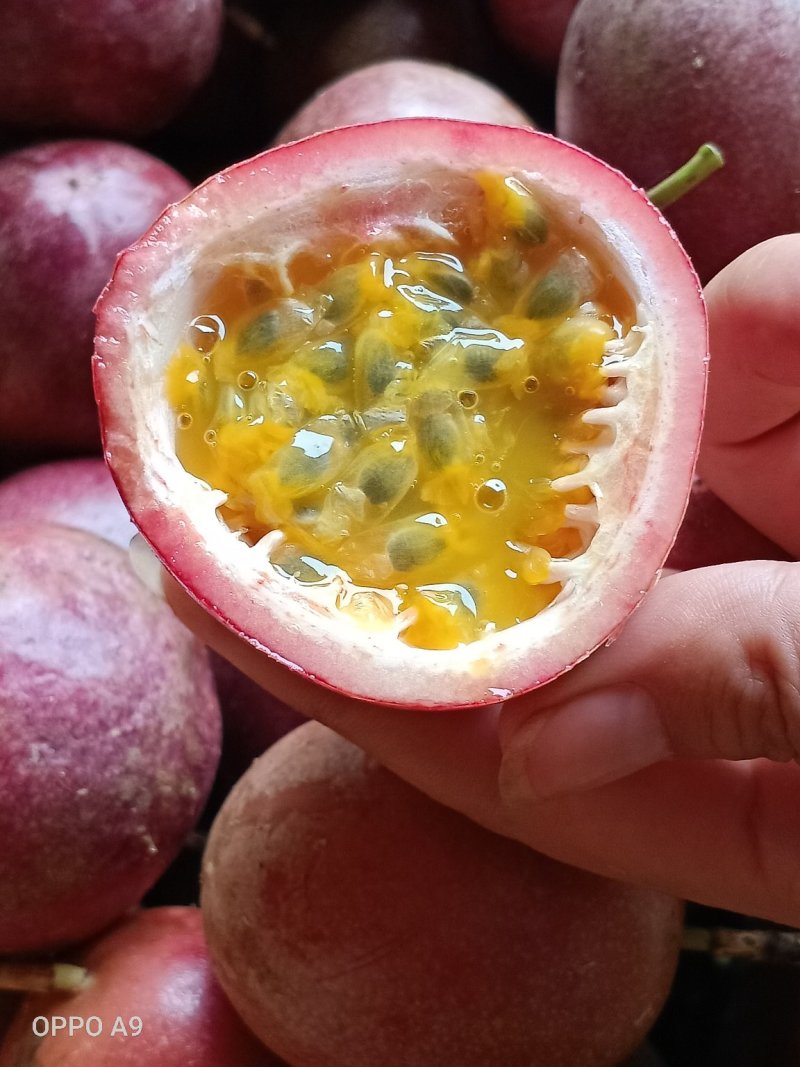 百香果