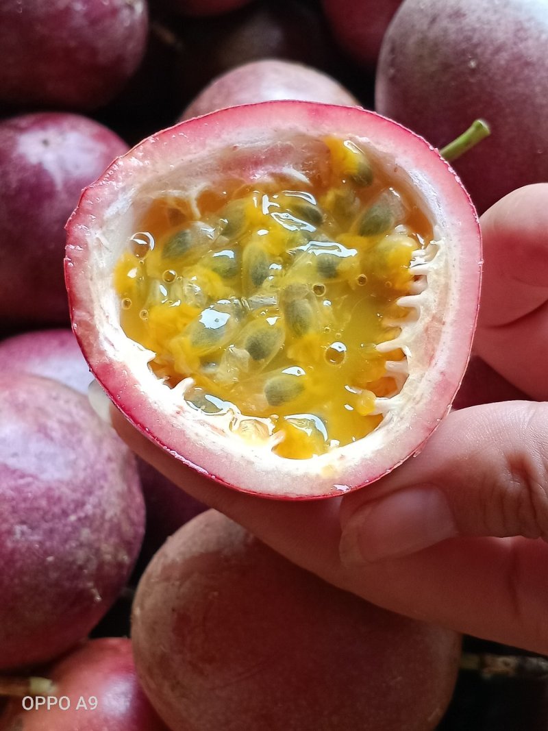 百香果