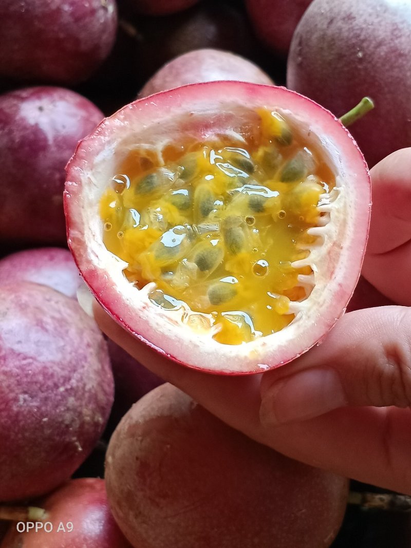 百香果