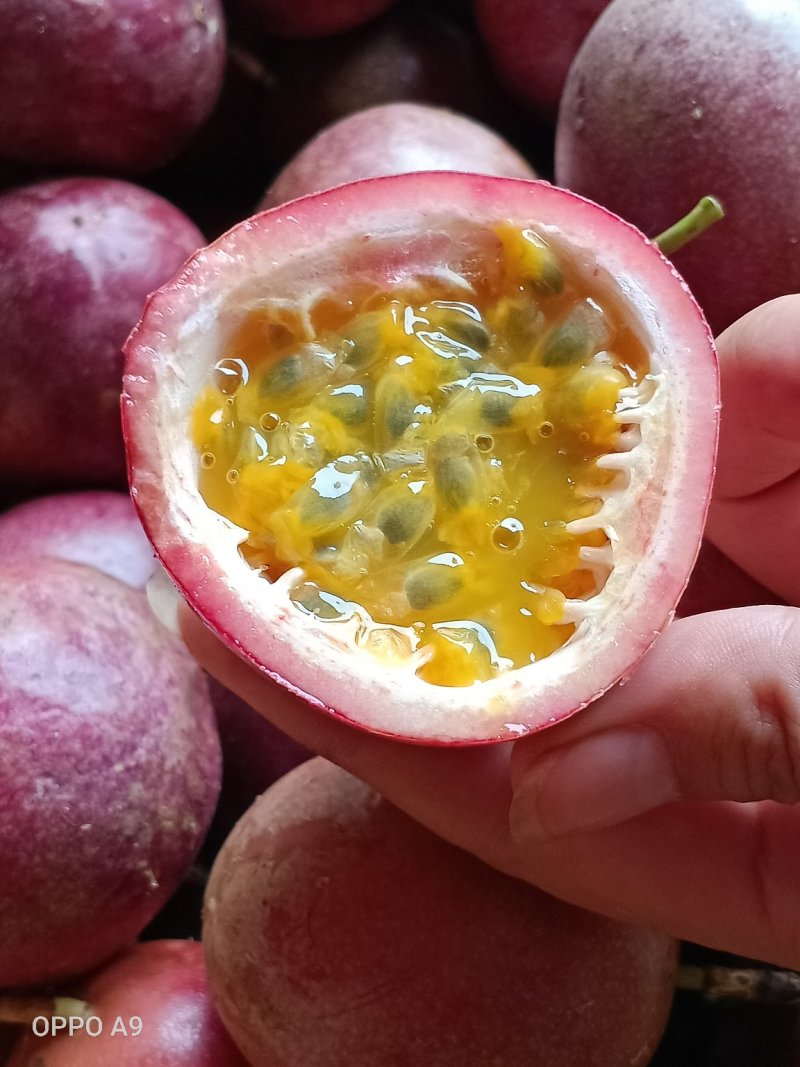 百香果