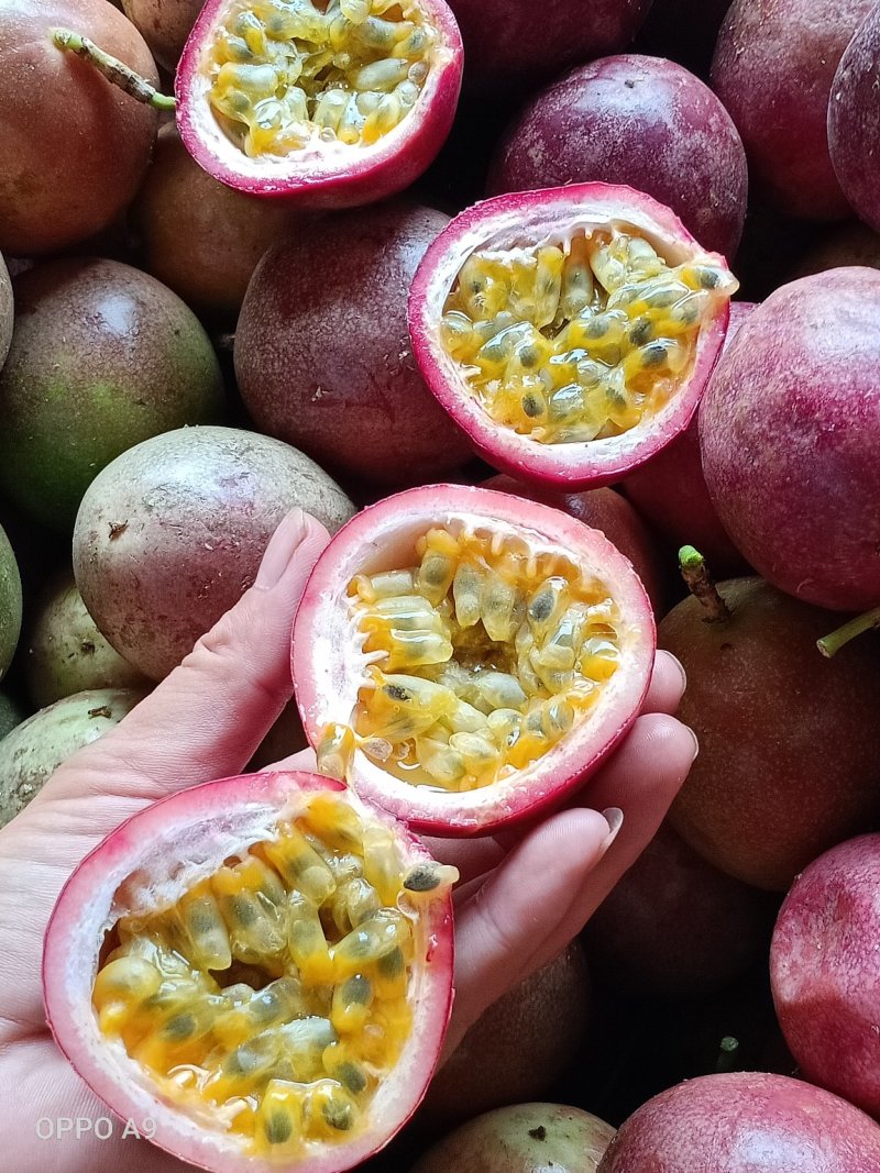 百香果