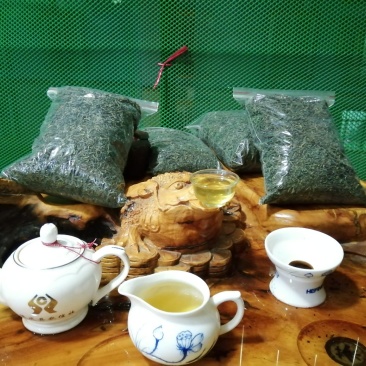 德庆县沙旁春山茶