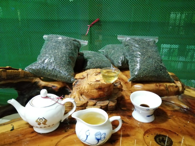 德庆县沙旁春山茶