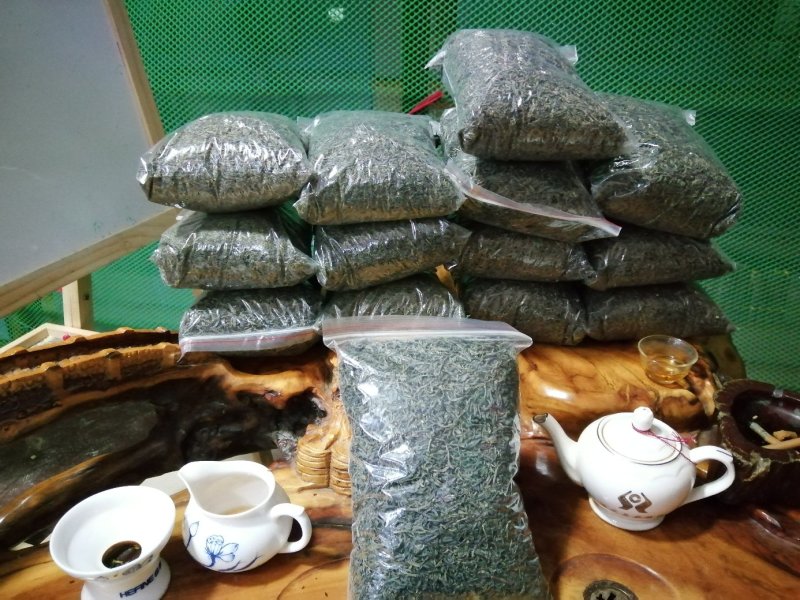德庆县沙旁春山茶