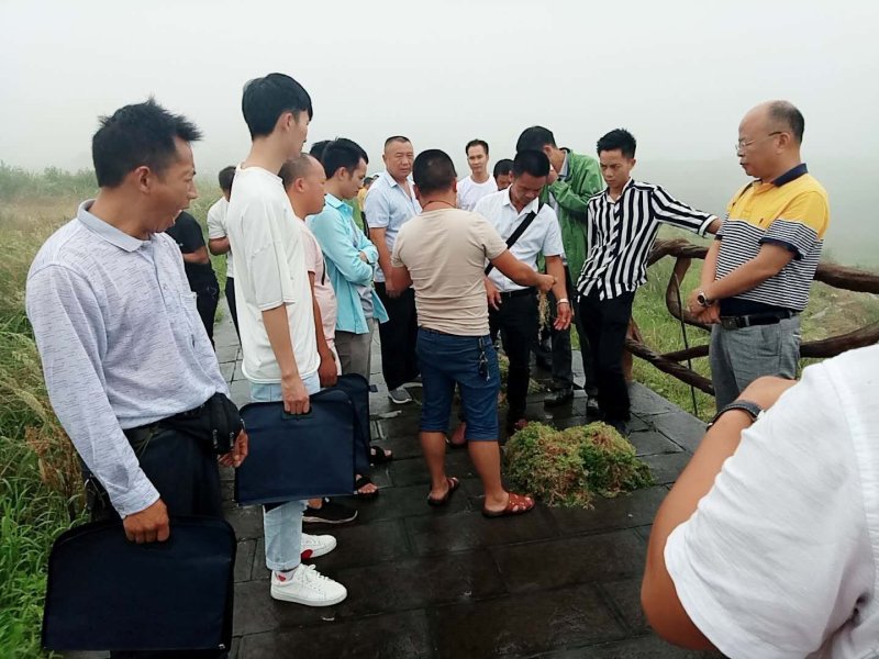 一级水苔