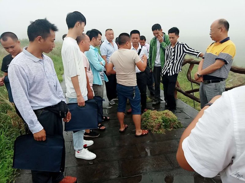 一级水苔