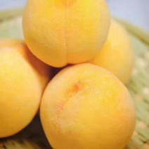 黄桃