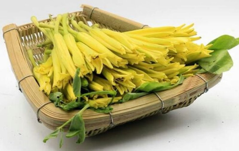 新鲜黄花菜批发