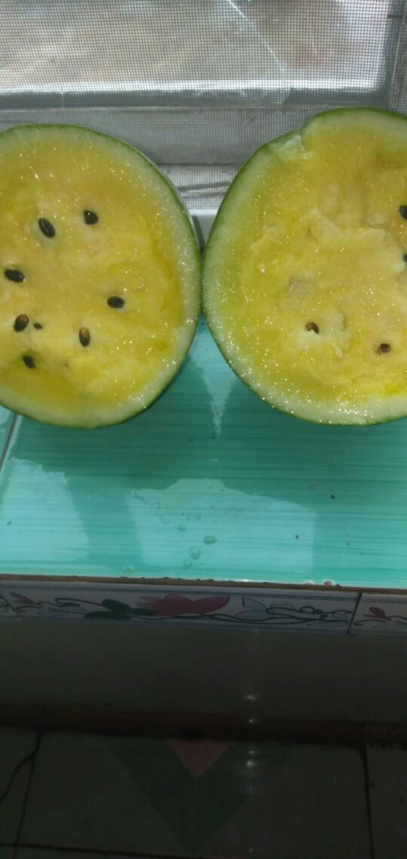 特小凤西瓜