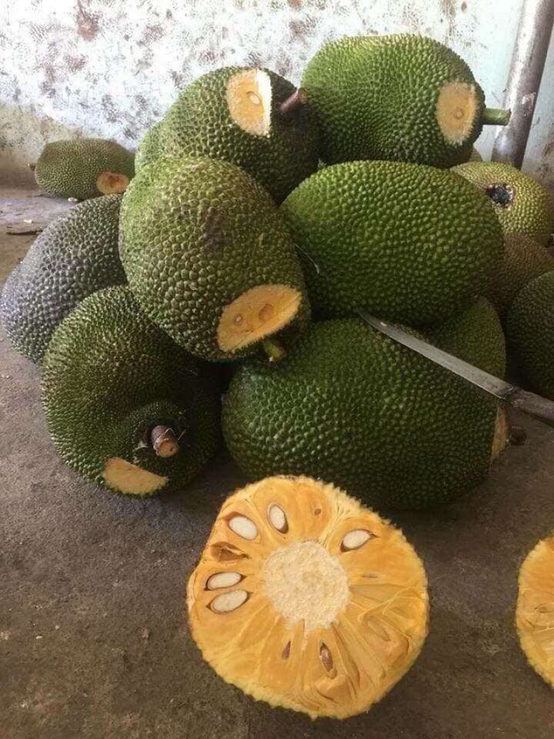 越南红肉菠萝蜜