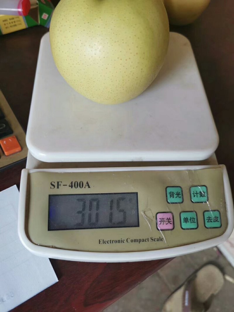 大量供应皇冠梨，出口砀山皇冠梨。欢迎电商入驻