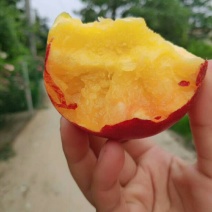 丰光精品油桃