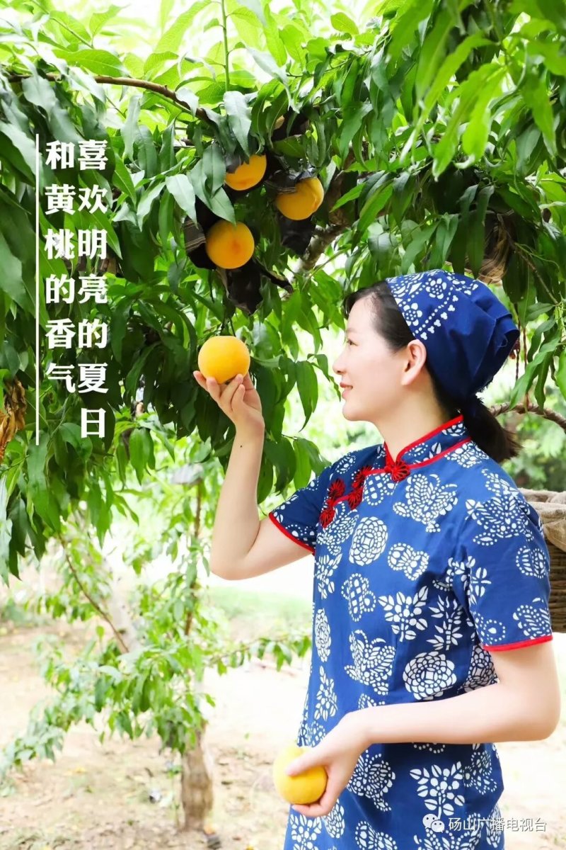 丰光精品油桃